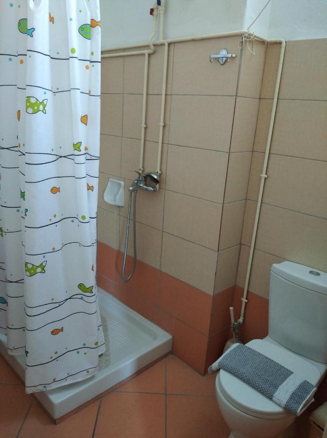 Hotel Ion 卡梅纳维洛拉 外观 照片