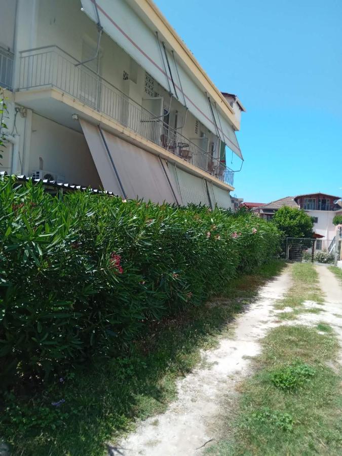 Hotel Ion 卡梅纳维洛拉 外观 照片
